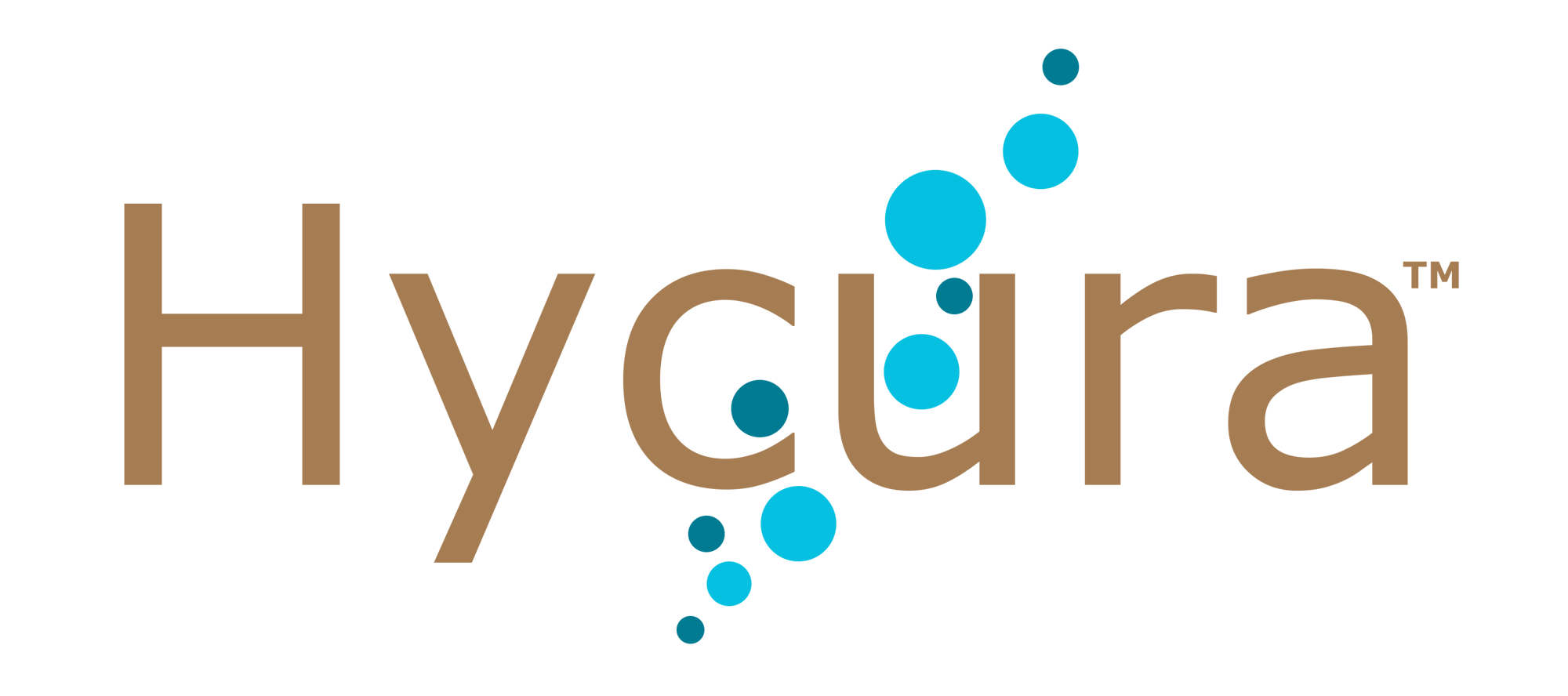 Hycura Print LogoBrown - No Tagline