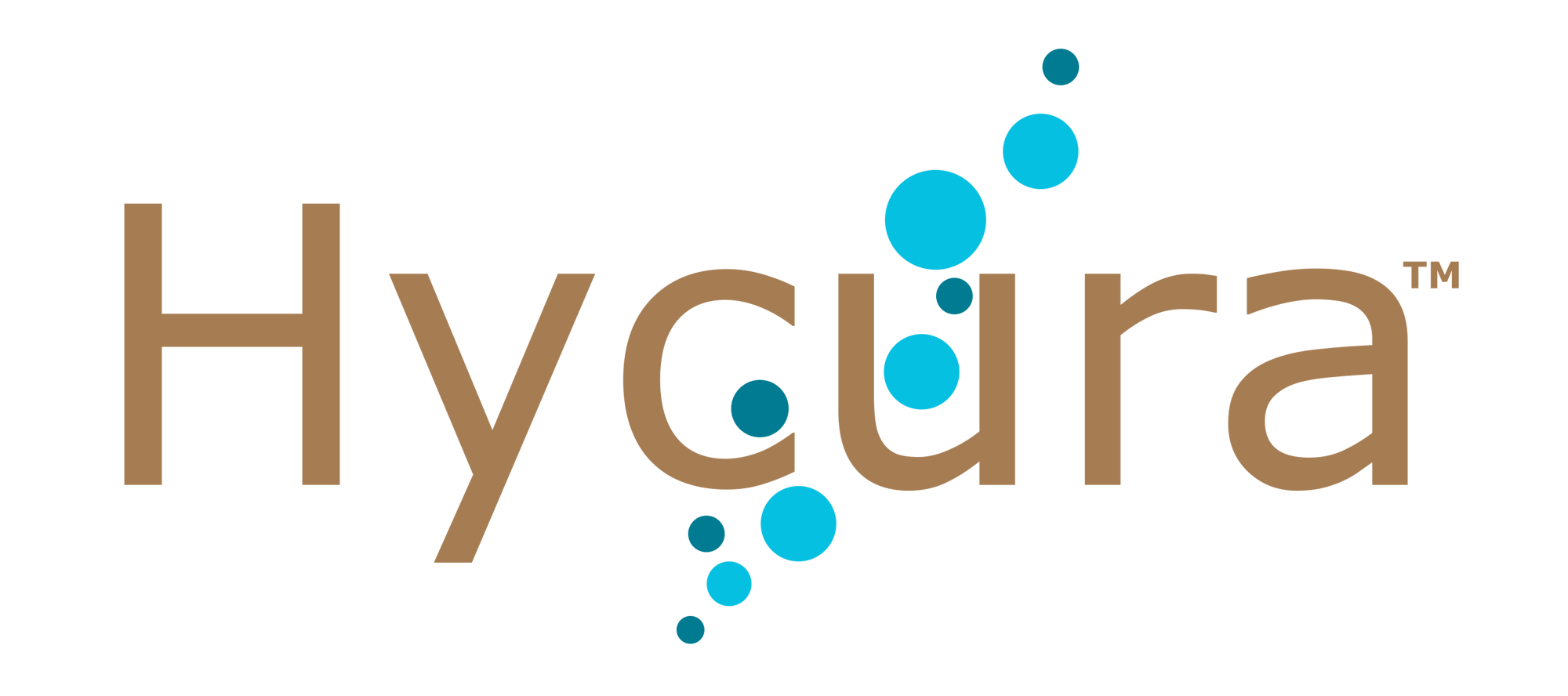 Hycura Print LogoBrown - No Tagline Hycura Print LogoBrown - No Tagline